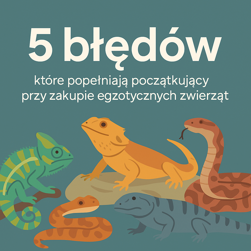 5 błędów, które popełniają początkujący przy zakupie egzotycznych zwierząt