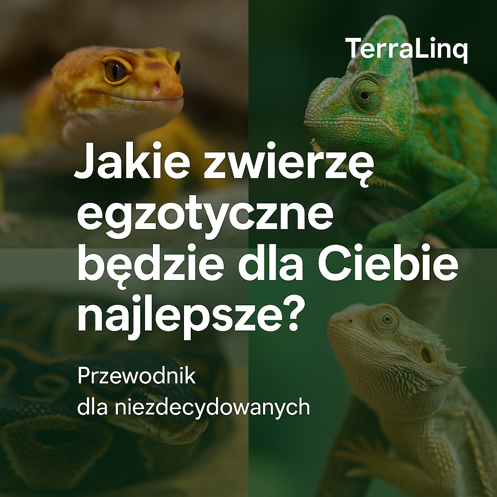 Jakie zwierzę egzotyczne będzie dla Ciebie najlepsze? Przewodnik dla niezdecydowanych